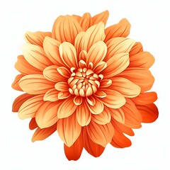 Bright Orange and yellow flower art isolated on white background. Vector watercolor illustration. Watercolor painting of a beautiful colorful dahlia flower. .