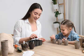 Fototapeta premium Mother and her daughter planting vegetable seeds into peat pots with soil at wooden table indoors