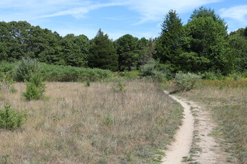 Fototapeta na wymiar dirt path near meadow / field