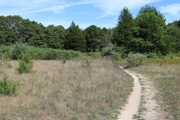 dirt path near meadow / field