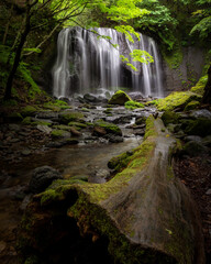福島県猪苗代町　新緑の達沢不動滝