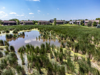 Drone view over marsh wetland and cattails in a drainage area between housing developments. 