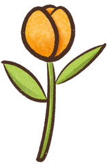 Fototapeta na wymiar tulip orange