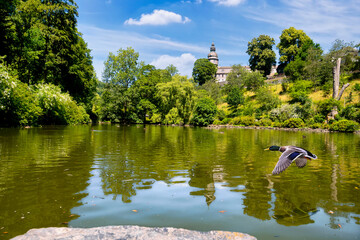 Park with pond in Bad Berleburg with view to the castle, North Rhine-Westphalia, Germany