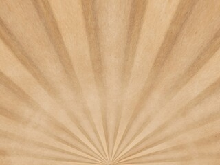 brown wood background. abstract wooden background.