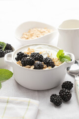 Fototapeta na wymiar muesli with blueberries and yogurt