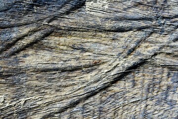 Old dry wood texture brown with cracks for the background.