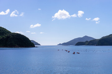 奄美大島の夏景