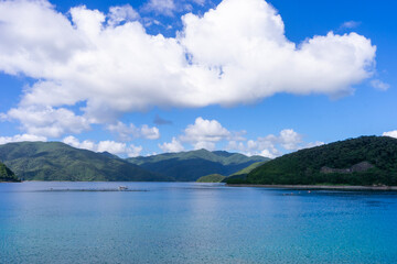 奄美大島の夏景