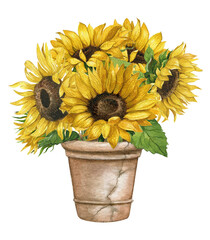Obraz premium Watercolor autumn composition with sunflower bouquet in rustic pot, Autumn arrangement,Farmhouse rustic fall decor,harvest Thanksgiving clipart. Birthday summer card. Realistic botanical art