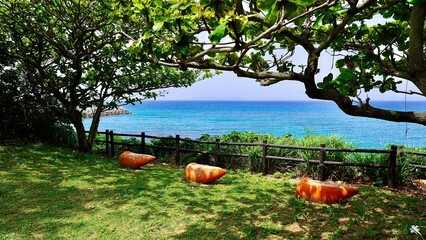 沖縄県津堅島のホートゥガー前のニンジンのベンチ