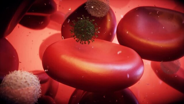 Virus and blood cell inside human body. Nanomedecine concept. realistic 4k animation.