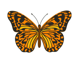 butterfly in orange-sand tones. cartoon vector graphics. Cartoon vector graphics