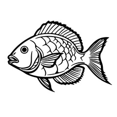 seafood, fish, shell, shirmp, outline vector, illustration, Ai generator