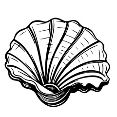 seafood, fish, shell, shirmp, outline vector, illustration, Ai generator