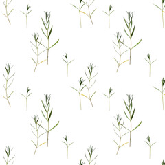 Seamless floral pattern with delicate thin green twigs. 