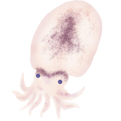 rock, sea, fishery, seafood, fisherman, fishing, fish, marine products, fish market, market, trading, shellfish, crustacean, mollusk, cephalpod, mariane mammal