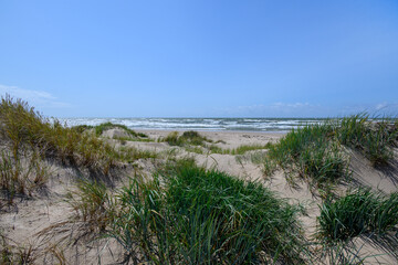 Fototapeta na wymiar Baltic sea coast in windy day, Latvia.