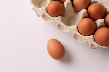 Chicken egg lies next to a cardboard tray with eggs on the white background