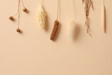 Bouquet of beautiful dried flowers on a yellow background. Place for text, top view