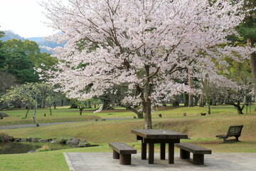 くもりの日の公園