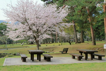 曇りの日の公園