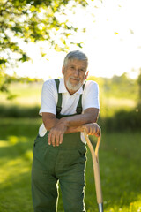 Senior gardener gardening in his permaculture garden - holding a spade