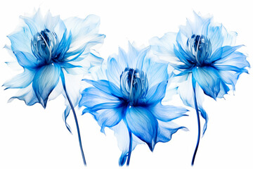 Group of blue flowers sitting on top of white table next to each other. Generative AI.