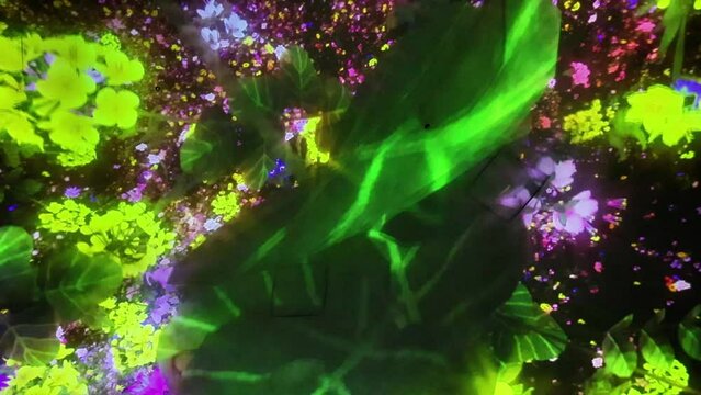 teamLab Planets TOKYO