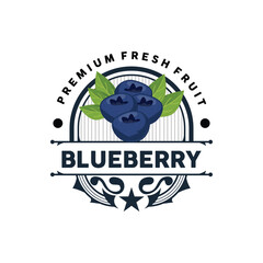 Blueberry Logo, Garden Farm Fresh Fruit Vector, Elegant Simple Design, Symbol Illustration Template