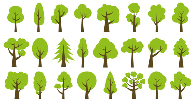 Collection of illustrations of trees. Can be used to illustrate any nature or healthy lifestyle theme.