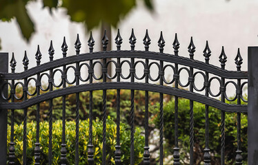 Wrought Iron Fence. Metal fence
