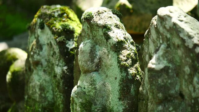 木漏れ日の中のお地蔵様