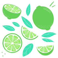 Lime vector clip art set, flat illustration with leaves
