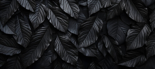 Black leaf texture banner, Natural black leaves for tropical leaf background