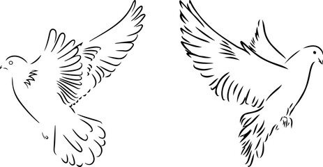 eagle vector file art