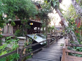wooden bridge in the jungle wooden house in garden  nature