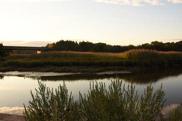 Scenic Views of Jones River Water Way in Kingston