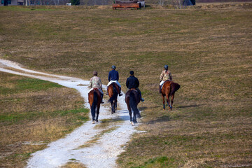 Obraz premium Horseback riders gracefully explore Palmanova's trail,