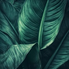 Abstract green leaf realistic texture, nature background, tropical leaf. Generative AI