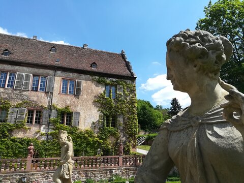 bronnbach 2
