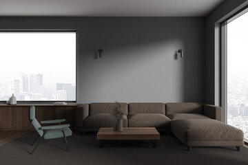 Gray living room interior with sofa and armchair