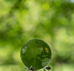 glass earth globe in forest