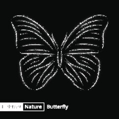 Butterfly silhouette of lights on black background