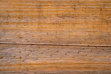 Obraz premium Brown wood texture. Abstract wood texture background.