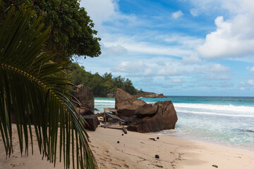  Anse Intendance Beach-tropical beach with granite boulders and palm tree,Seychelles