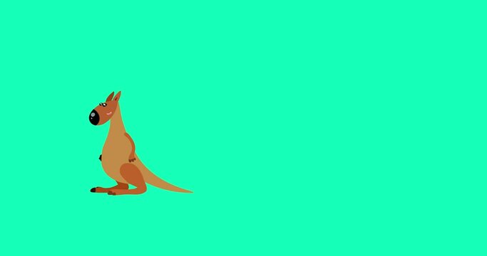 Kangaroo tom cartoon australian animal animation character isolated. Seamless loop jump on green background good for any australian scene.