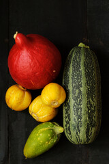 gestreifte Melonengurke, gelbe Zitronengurke, afrikanische Horngurke und Hokkaido-Kürbis aus dem Garten - 621208202
