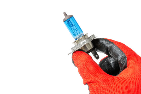gloved hand holding Halogen car lamp, car light, car headlight isolated on white background