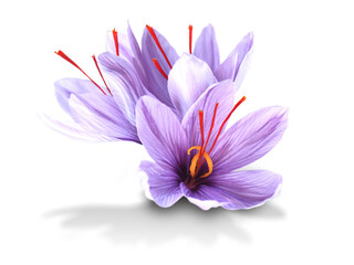 Saffron is a spice derived from the flower of Crocus sativus, commonly known as the 